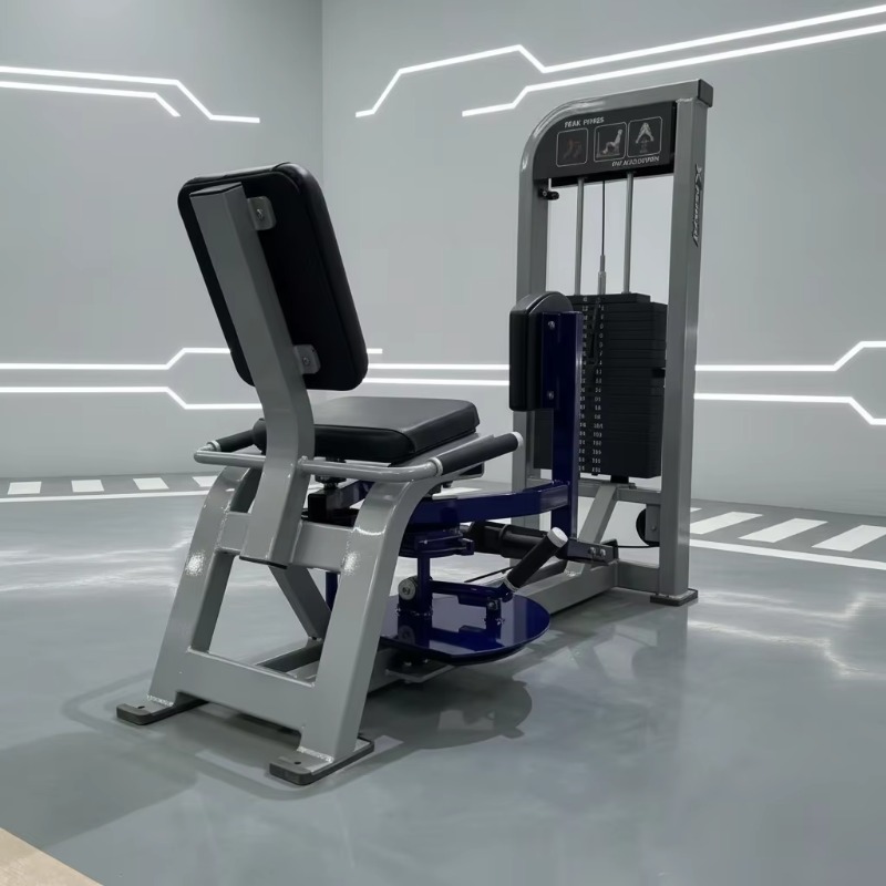 Attrezzatura Fitness per Pales - Sports Equipment Gym recensione e prezzo
